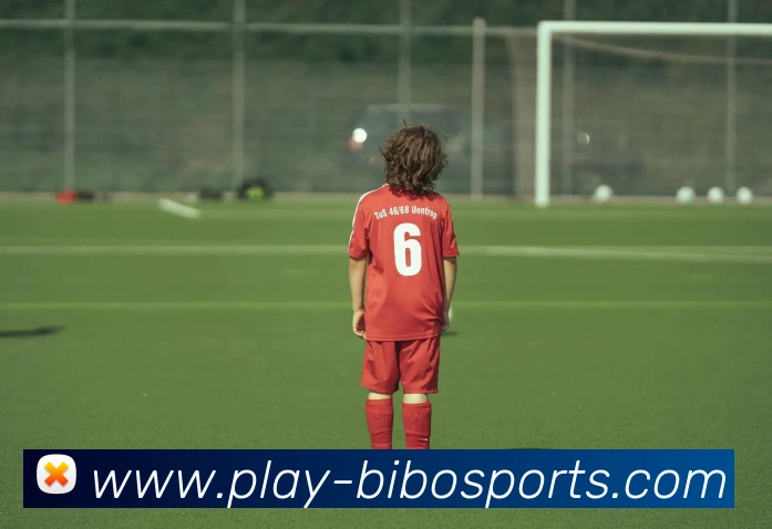 体育下注平台生态图